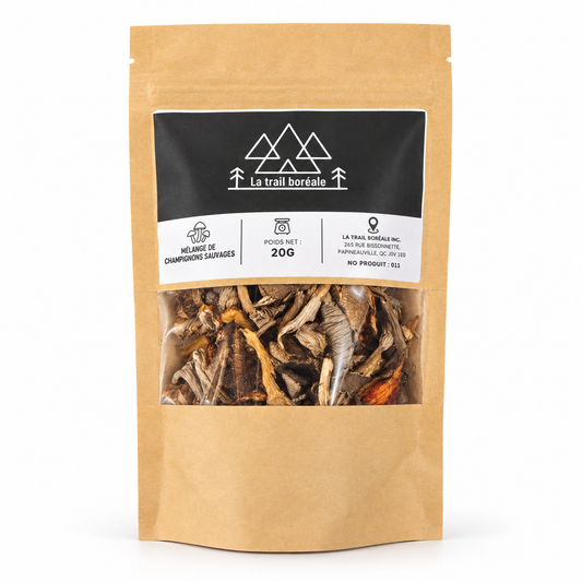 Mélange de Chanterelle