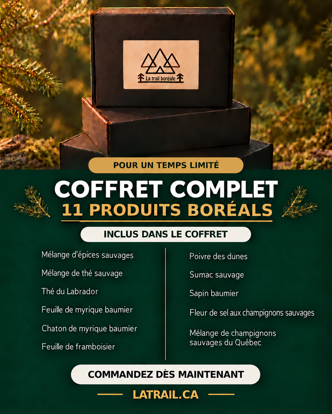 Coffret Prestige