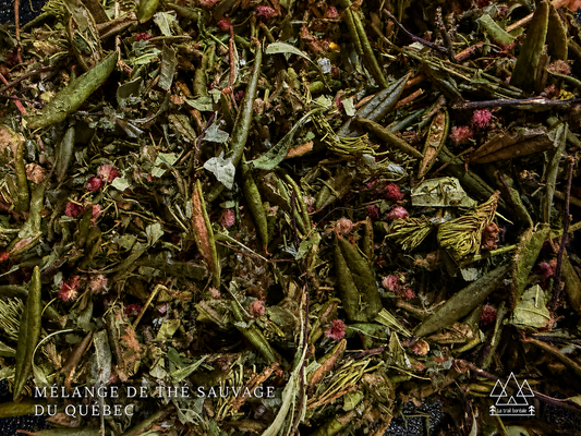 Mélange de Thé sauvage